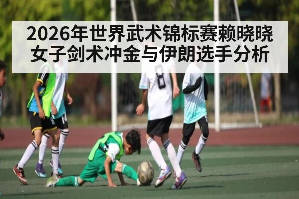 2026年世界武术锦标赛赖晓晓女子剑术冲金与伊朗选手分析 - kaiyun